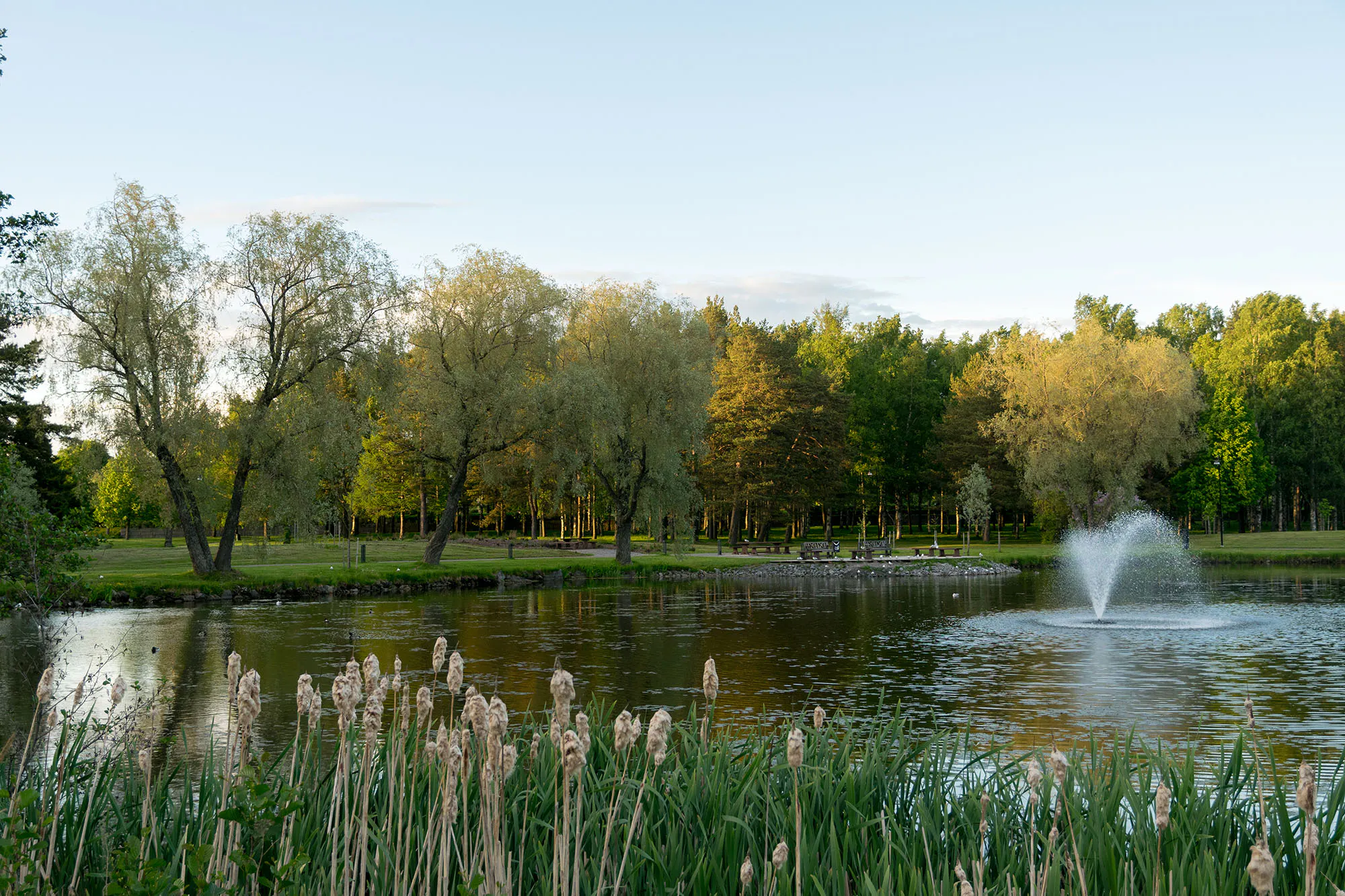 Ilmaista tekemistä Vaasassa – lomavinkit budjettimatkailijoille!