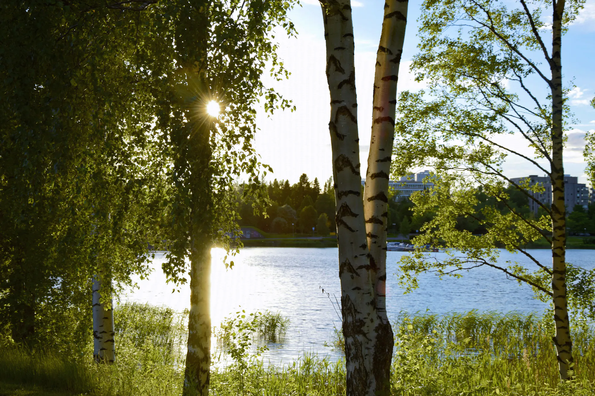 Työmatkalla Vaasassa – näin viihdyt työpäivän jälkeen