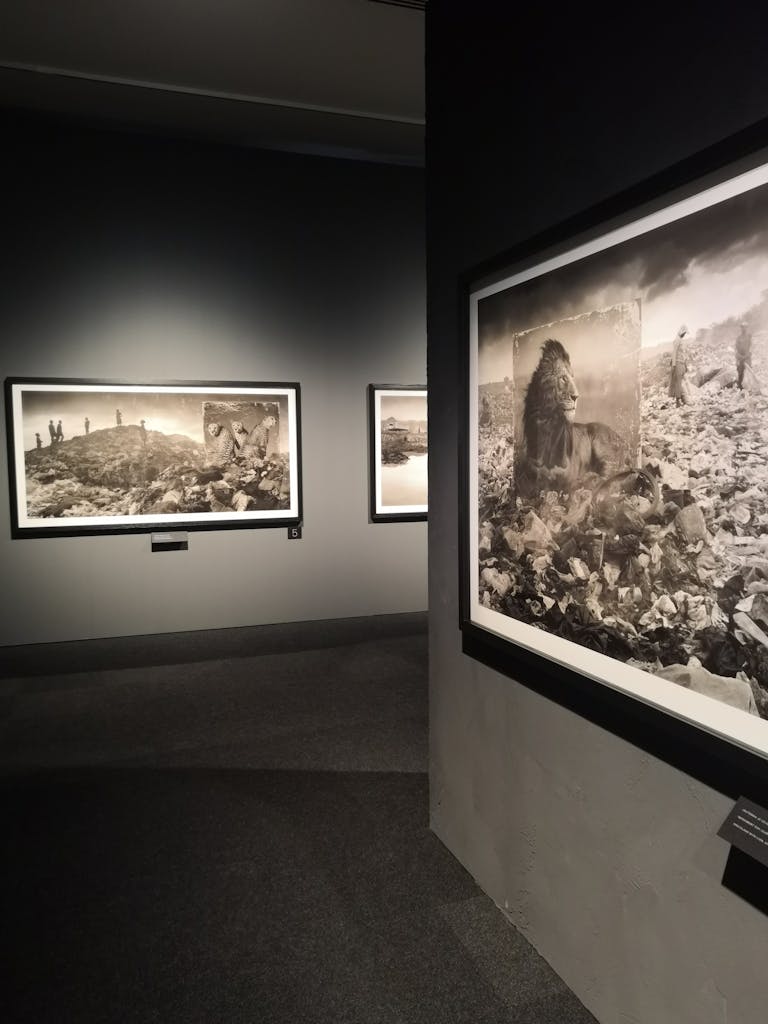 Inherit the Dust -näyttely Kansallismuseossa.