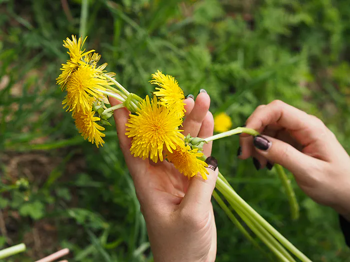 Lomakohteena Helsinki – mitä tehdä kesällä 2020?