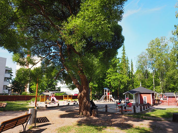Mäki-Matin perhepuisto