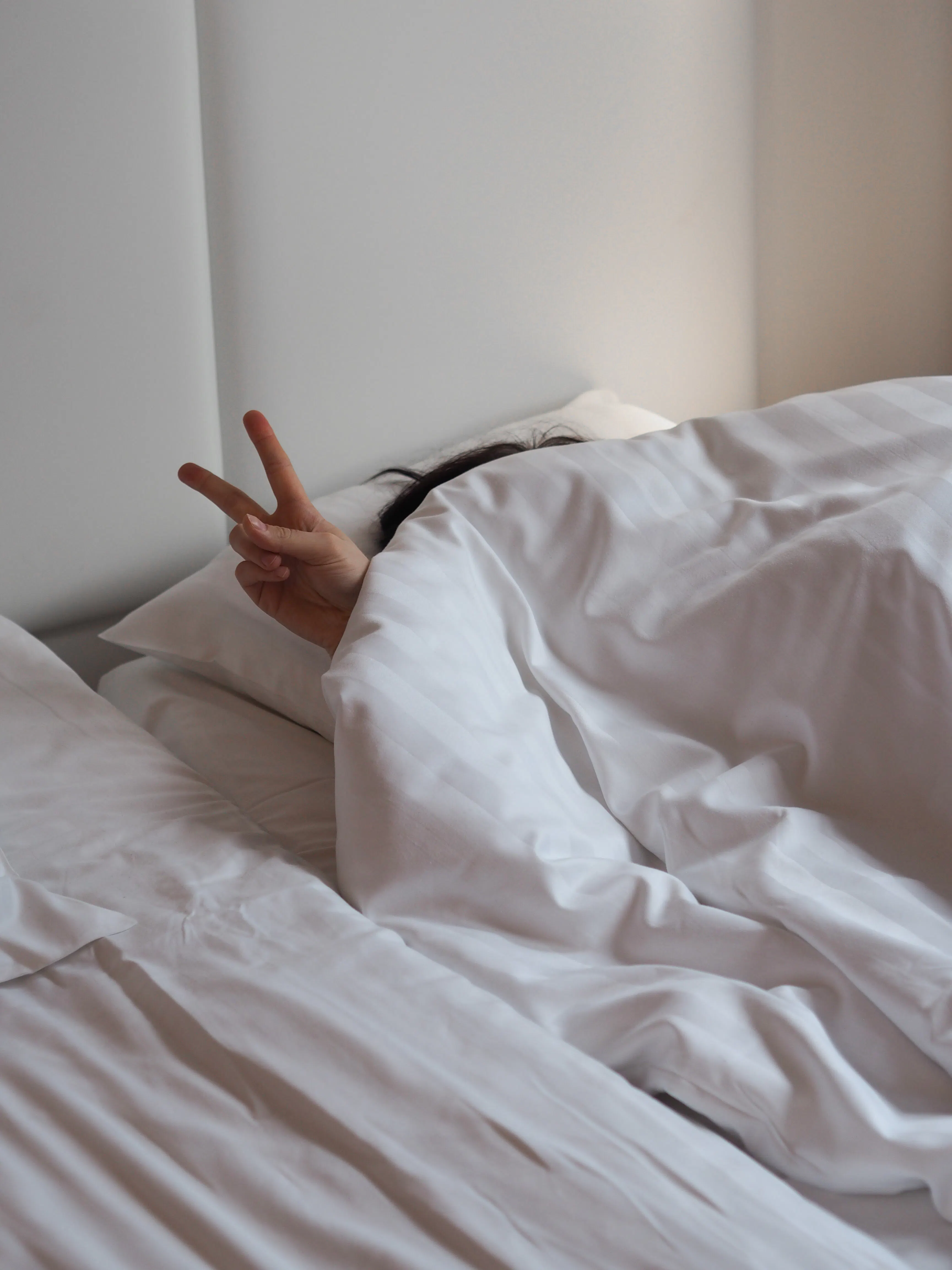 Vilka tillbehör bör man ta med sig till hunden på hotell?